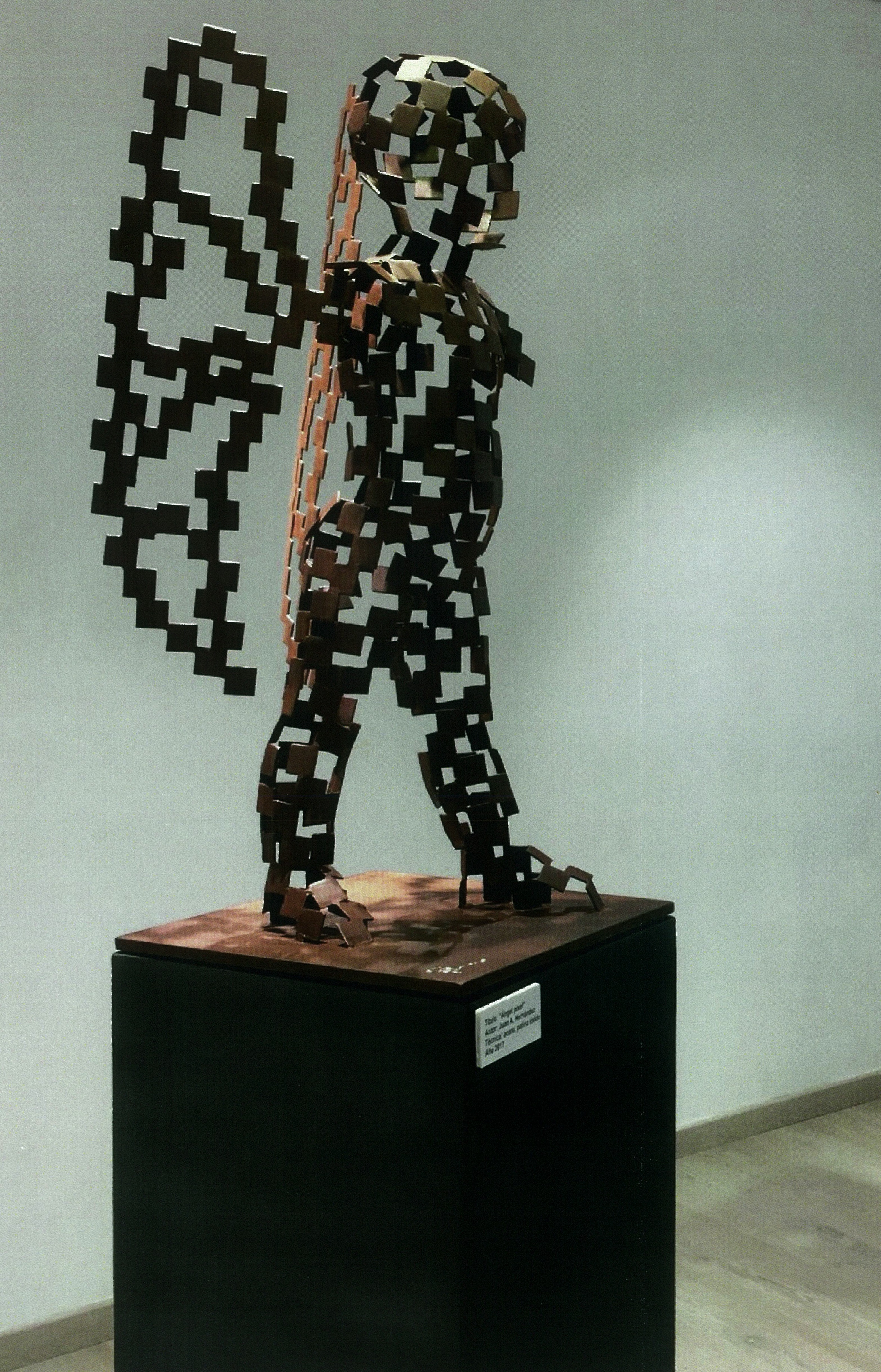 Angel Pixel
