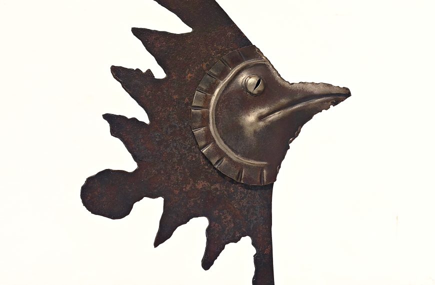Pájaro pez