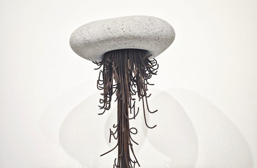 Medusoidea