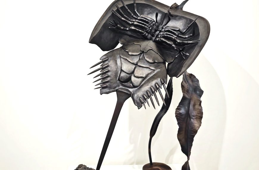 Cangrejo herradura